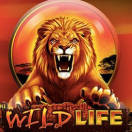 The Wild Life